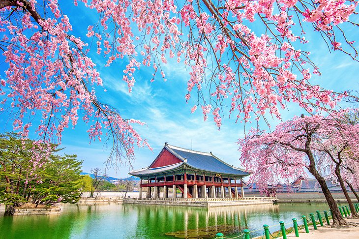 Top travel locations to visit in South Korea